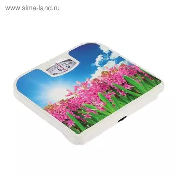 Весы напольные Sakura SA-5000-7, механические, до 130 кг, картинка "гиацинты"