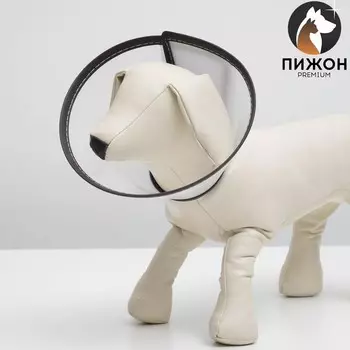 Ветеринарный воротник "Пижон №3, обхват шеи 22.5 см, высота 11 см