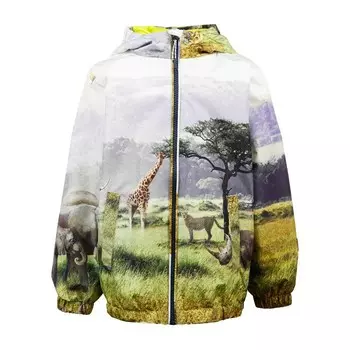 Ветровка для мальчика, рост 98 см