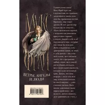 Ветры, ангелы и люди. Макс Фрай