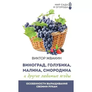Виноград, голубика, малина, смородина и другие любимые ягоды. Особенности выращивания своими руками. Жвакин В.В.