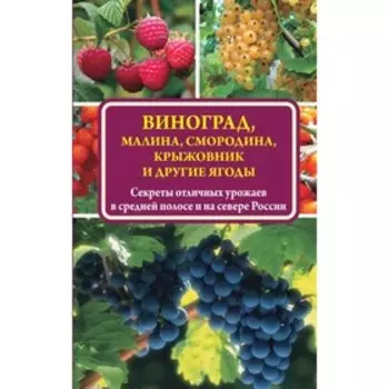 Виноград, малина, смородина, крыжовник и другие ягоды. Жвакин В. В.