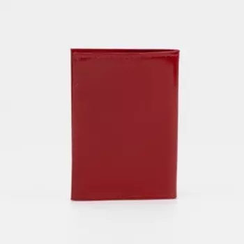 Визитница, 18 карт, цвет красный