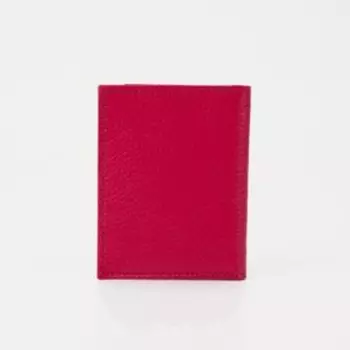 Визитница, 20 листов, цвет малиновый