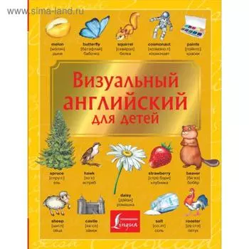 Визуальный английский для детей