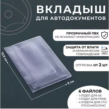 Вкладыш для документов 2 шт., 100 мкн, прозрачный