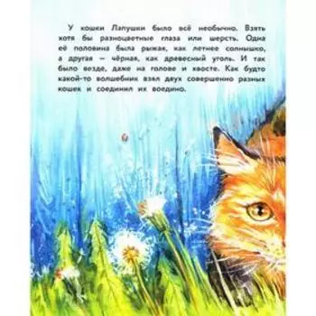 Вместе не страшно! Федулова А.