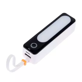 Внешний аккумулятор DX151, 5000 мАч, USB, Type-C, кабель Type-C, фонарь, белый