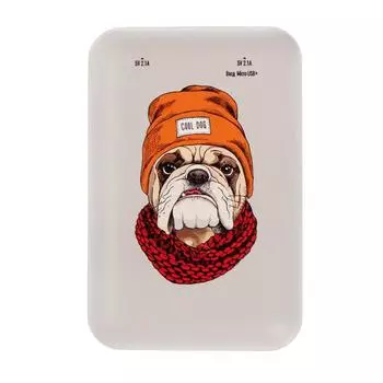 Внешний аккумулятор Ritmix RPB-10007, 10000 мАч, 2хUSB, 2.1 А, бульдог