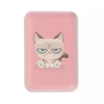 Внешний аккумулятор Ritmix RPB-10007, 10000 мАч, 2хUSB, 2.1 А, Grumpy Cat