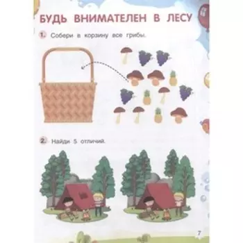 Внимание. Петрова Е.