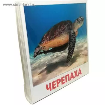 Водные жители. 20 карточек. Доман Г.