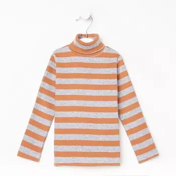 Водолазка для мальчика, цвет коричневый, рост 104 см