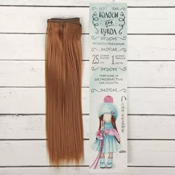 Волосы - тресс для кукол «Прямые» длина волос: 25 см, ширина:100 см, цвет № 30