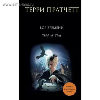 Вор Времени. Пратчетт Т.