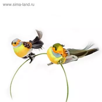 Воробьи на прищепке, 10 см, набор 2 штук