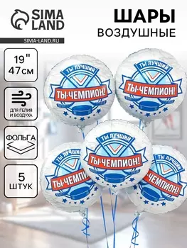 Воздушные шары фольгированные 18" «Хоккей. Ты чемпион», 5 шт.