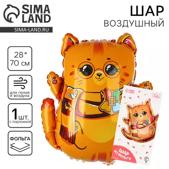 Воздушный шар фольгированный 28" «Котик-волшебник», с подложкой