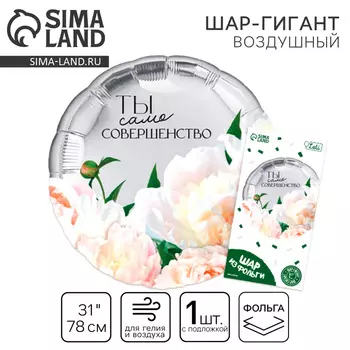 Шар воздушный фольгированный 31" «Совершенство», круг, с подложкой