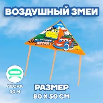 Воздушный змей «Быстрее ветра» 50х80 см
