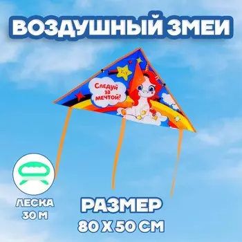 Воздушный змей «Следуй за мечтой» 50х80 см