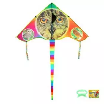 Воздушный змей «Сова», с леской