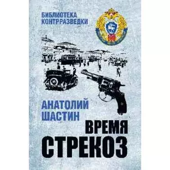 Время стрекоз. Шастин А.М.