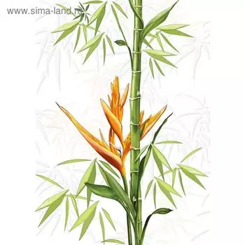 Вставка керамическая Jungle C-JU2M051 Джангл, белая, 250х350 мм