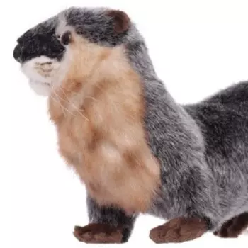 Выдра речная, 23 см