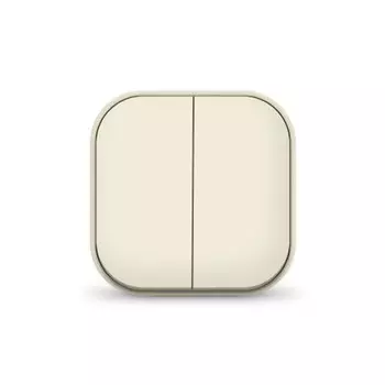 Выключатель 2-кл. 1п ОП 10А IP20 сл. кость IONICH 1425