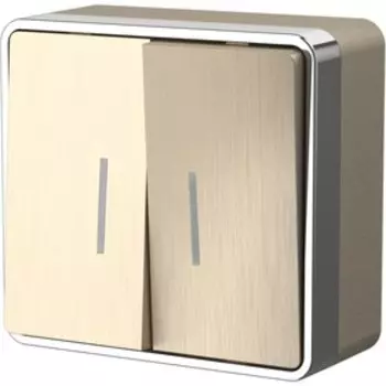 Выключатель двухклавишный с подсветкой WL15-03-03, цвет шампань рифленый