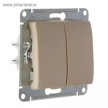 Выключатель "Glossa" SchE GSL000451, 10 А, 2 клавиши, скрытый, цвет титан