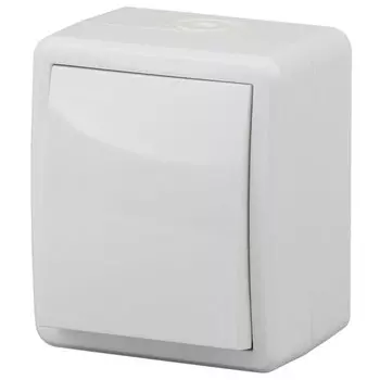 Выключатель Эра Б0020669 «Эксперт», ОП, 10А, 250В