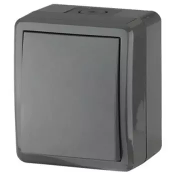 Выключатель Эра Б0020670 «Эксперт», ОП, 10А, 250В