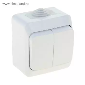 Выключатель "Этюд" SchE BA10-042B, 10 А, 2 клавиши, наружный, IP44, цвет белый