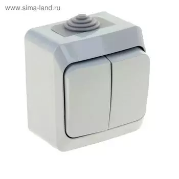 Выключатель "Этюд" SchE BA10-042C, 10 А, 2 клавиши, наружный, IP44, цвет серый