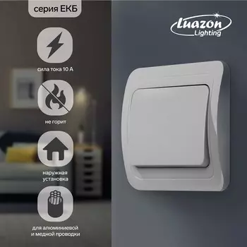 Выключатель Luazon Lighting «ЕКБ», 10 А, 1 клавиша, белый