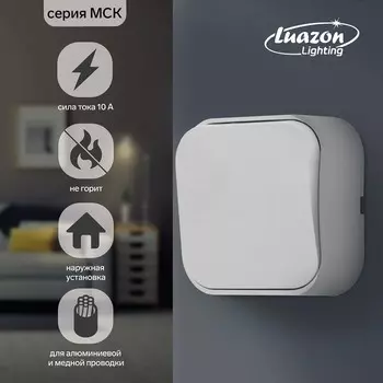 Выключатель Luazon Lighting "МСК", 10 А, 1 клавиша, накладной, белый
