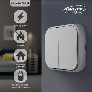 Выключатель Luazon Lighting «МСК», 10 А, 2 клавиши, белый