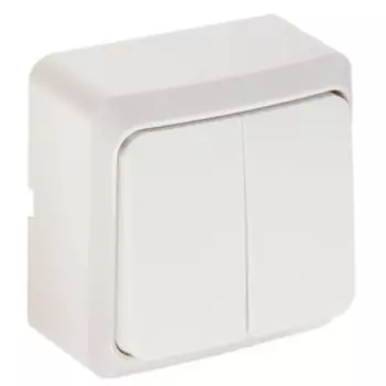 Выключатель Luazon Lighting "СПБ", 10 А, 2 клавиши, белый