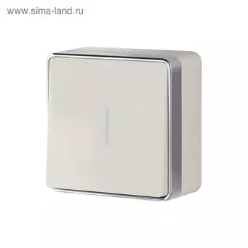 Выключатель одноклавишный с подсветкой Gallant WL15-01-04-ivory, цвет слоновая кость