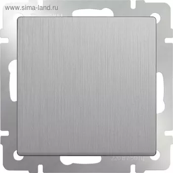 Выключатель одноклавишный WL09-SW-1G, цвет cеребряный