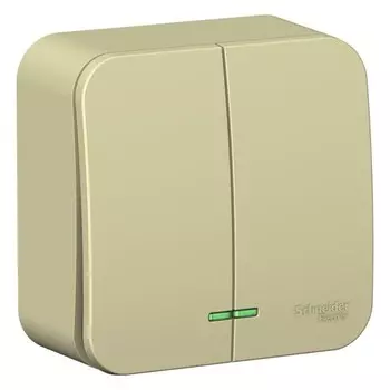 Выключатель SchE BLNVA105117 Blanca, ОП, 10А, 250В, 2 клавиши