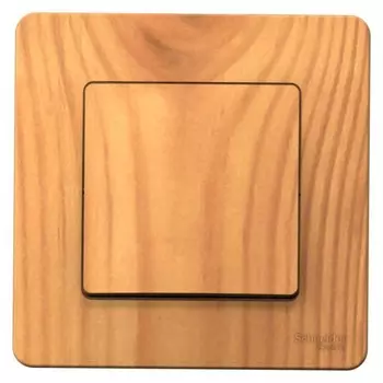 Выключатель SchE BLNVS010105 Blanca, СП, 10А, 250В, 1 клавиша