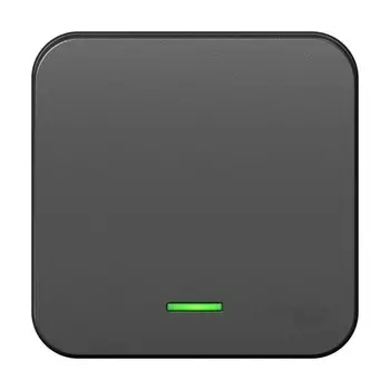 Выключатель SE Blanca, 10 А, 1 клавиша, IP20, накладной, с подсветкой, антрацит, BLNVA101116