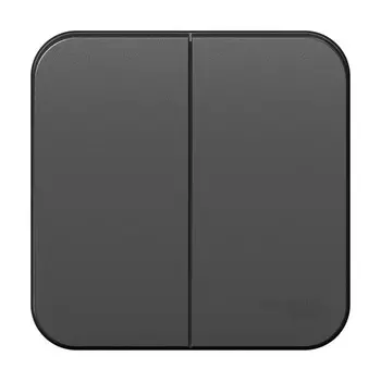 Выключатель SE Blanca, 10 А, 2 клавиши, IP20, накладной, цвет антрацит, BLNVA105016