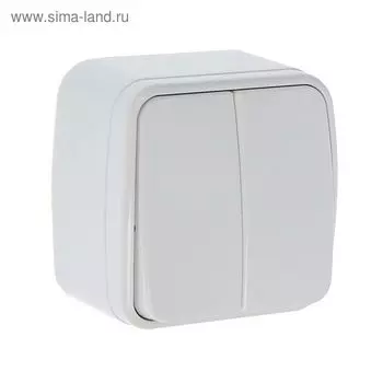 Выключатель СОЮЗ "Электра", 10 А, 2 клавиши, наружный, белый