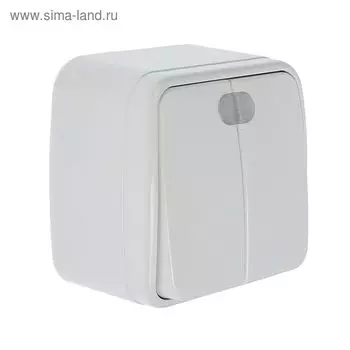 Выключатель СОЮЗ "Электра", 10 А, 2 клавиши, наружный, с подсветкой, белый