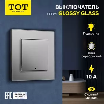 Выключатель TOT Glossy Glass, 10 А, 1 клавиша, с подсветкой, скрытый монтаж, стеклянная рамка, серебристый