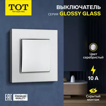 Выключатель TOT Glossy Glass, 10 А, 1 клавиша, скрытый монтаж, стеклянная рамка, серебристый